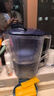碧然德（BRITA） 家用滤水壶 净水壶滤芯 Maxtra 多效滤芯 6枚装 实拍图