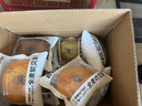 碧翠园夹心贝果全麦面包早餐低脂粗粮代餐饱腹无糖精食品混合口味750g 实拍图