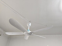 美的（Midea） 小吊扇小型电风扇蚊帐扇家用学生宿舍风扇床上风扇轻音电风扇吊式小电扇 风扇踏青放价 FC70-FA 大号款 实拍图