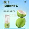 九日椰子水 九日牌NFC纯椰子汁夏日饮料饮品 椰子水320ml*24罐 实拍图