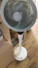 艾美特（AIRMATE）【白天鹅MAX】语音智能空气循环扇18档直流变频家用电风扇落地扇一级能效负离子净化 FA23-SRDI151 实拍图