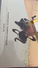 歌帝梵 (GODIVA) 经典大师夹心黑巧克力 30颗230g 零食 伴手礼 生日礼物 实拍图