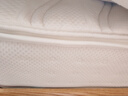源氏木语0胶水床垫家用大卧室天然椰棕护脊硬垫弹簧乳胶软垫席梦思高端垫 J33床垫(厚24cm/偏硬H2)零胶水 1800mm*2000mm 实拍图