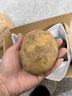 定西土豆2025年新挖粉糯面沙高山洋芋马铃薯甘肃定西美食特产 净重5斤小果【单果1-3两】 实拍图