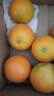 【热销】湖北秭归脐橙鲜果上市 带箱9斤60-65mm 实拍图