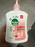 滴露（Dettol）洗手液消毒抑菌滋润500g+500g补充装儿童家庭护手替换 实拍图