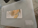 茶花（CHAHUA）砧板菜板加厚砧板切菜板家用案板塑料水果板面板大号 实拍图