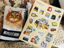 佩玛思特黑金系列全价鲜肉猫粮 泌尿道呵护成猫粮5.4kg添加嘉吉后生元 实拍图