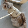 欢宠网猫咪牵引绳猫绳宠物防挣脱可调松紧背心式专用溜遛猫绳子外出用品 实拍图