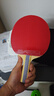 红双喜三星级进阶型乒乓球拍专业级四星狂飚套胶初学者比赛球拍 5星 横拍1只 【全能型】 实拍图