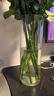 初卓花瓶玻璃花瓶插花干花仿真花水培容器装饰摆件 直筒花瓶10*30cm 实拍图