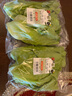 密农人家 直立散叶生菜 罗马生菜 新鲜蔬菜 凉拌蔬菜沙拉奶油生菜300g 实拍图