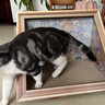 梵都宠舍油画猫窝猫抓板 实拍图