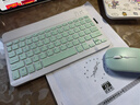 栢启歆无线蓝牙键盘鼠标套装 适用ipad小米华为苹果VIVOPPO平板小女生妙控办公静音手机笔记本电脑外接 10寸无线键盘绿色+双模蓝牙鼠标【送数据线】 实拍图