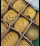 佳沛（zespri）新西兰  阳光金奇异果6粒装 单果约77-103g  源头直发  猕猴桃 实拍图