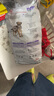 皇家狗粮绝育成犬狗粮犬粮宠物小型犬MSA30全价犬粮≥10月2KG 实拍图