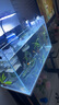 森森（SUNSUN）鱼缸过滤器壁挂过滤桶外挂式净水循环系统 【鱼便收集】8W过滤器+滤材+硝化菌+排污管 实拍图