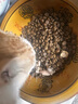 凯锐思猫粮 六拼冻干无谷益生菌全价猫粮冻干猫粮全阶段粮 【六拼冻干粮】3斤 实拍图