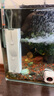 森森 小鲤鱼缸过滤器净水循环三合一内置水族箱过滤系统XQP-500F 6W 实拍图