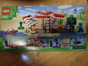乐高（LEGO） 积木拼装我的世界21275 TNT 丛林房屋男孩女孩儿童玩具生日礼物  实拍图