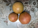 京地达山东铁皮草莓西红柿 净重4斤  水果番茄蔬菜源头直发包邮 实拍图