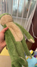 all for paws flora青蛙 毛绒狗狗玩具 耐啃咬响纸玩具 磨牙大型犬宠物玩具 实拍图