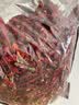 西尔丹干辣椒新疆辣皮子拌面肉椒焉耆四平头雪莲辣椒丝原料配料同款 安集海线椒500g（细长微辣 辣子鸡辣椒） 实拍图