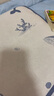 贝壳日记（SHELL DIARY）0-6岁0-8岁通用夏季冰丝枕套 实拍图