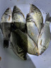 麝香酒钓鱼用小药鲫鱼鲤鱼专用药酒高浓度正品诱鱼剂黑坑饵料专用 【买一赠一】鱼护装不下 晒单实拍图