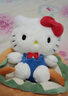 Hello Kitty三丽鸥毛绒玩具布娃娃玩偶钥匙扣中秋节礼物生日礼物 凯蒂猫公仔 实拍图