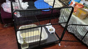 京喜自营-专用品牌猫笼子超大室内猫别墅多层猫舍送货上门 【爆款】方管款-黑色双层78*55*85 套餐一：三件套 实拍图