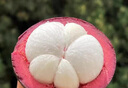 沐小七果蔬 泰国进口山竹6S水果礼盒【JD闪送】新鲜a特级果中秋节送礼品物 5斤装【80%选择-超划算】净4斤 8S级｜稀有果【单果80-100g】 实拍图