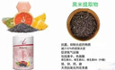 FitLine菲莱pm德国基础三合一大白小白小红组合细胞营养素飞来复合维生素 德版-大豆异黄酮（26.2月） 实拍图