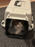 獒少保【新国航标准】宠物航空箱猫狗托运输猫咪狗狗外出箱便携手提笼子 1号【建议18斤内宠物】 实拍图