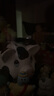 TOP TOY GGbond猪猪侠猪咪毛绒系列盲盒公仔玩具女生生日礼物 单盒 实拍图