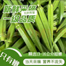 新鲜水果秋葵蔬菜新鲜现摘现发当季蔬菜生鲜凉拌好物减肥瘦身 现摘水果秋葵 3斤 实拍图