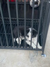 北鼻狗【升级全管加强 】狗笼中型犬大型犬狗笼子宠物狗狗笼子金毛用品 升级四面全管底部加强 黑色 110*75*90CM 建议100斤内 实拍图