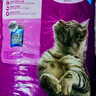 伟嘉（whiskas）猫粮 宠物成猫粮海洋鱼味300g单包尝鲜装 实拍图