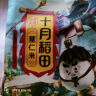 十月稻田 芡实 400g  圆粒红皮鸡头米 鸡头果 五谷杂粮粗粮 炖汤煲粥材料 实拍图