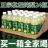 特产优联网红枇杷炖梨饮料一整箱批发360ml/瓶雪梨饮料饮品批发特 精包装【整箱24瓶】 实拍图