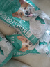 凯锐思 柯基狗粮 专用幼犬成犬小型犬幼犬粮专用粮 【经典款】4斤*10袋（共40斤） 实拍图