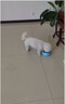 皇家（ROYAL CANIN）狗粮中小型犬粮成犬幼犬老年犬专用粮泰迪柴犬贵宾比熊雪纳瑞全价 BF29比熊成犬粮（3kg） 实拍图