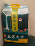 十月稻田 2024年新米 寒地之最 五常大米 10斤（东北大米 香米 十斤） 实拍图