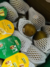 佳沛（zespri）新西兰 阳光金奇异果12粒礼盒特大果单果约122-146g 猕猴桃 水果 实拍图