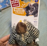 贵为（GiGwi）仿真发声小鸟逗猫玩具小猫咪幼猫自嗨解闷神器逗猫棒 实拍图