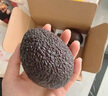 京鲜生 秘鲁进口牛油果 大果4粒装 单果130g+（非即食） 生鲜水果 实拍图