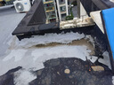 雨虹防水 屋顶防水补漏材料 防水胶 补漏王 耐高温耐晒隔热防水涂料 18kg 晒单实拍图