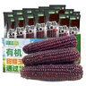 金沃瑞丰精品有机 黑糯玉米棒260g*8支＞4.5斤 新鲜甜粘黏 粗粮自营早餐 实拍图