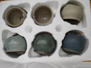 仟尚艺 多肉花盆陶瓷大号创意粗陶透气多肉植物大口径小老桩花盆套组合 小胡巴组合6个 实拍图