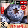 寻良万亩蓝宝级·丹东花香蓝莓【JD/顺丰-多地次日达】新鲜水果送礼物盒 125g*6盒【很划算】丨净100g 大果18mm+丨甜 实拍图